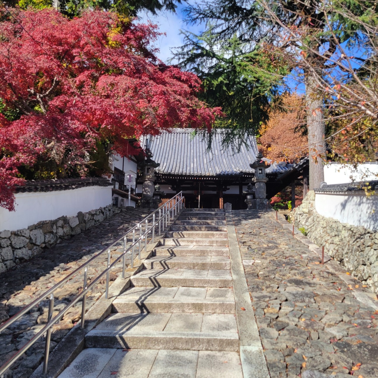 f:id:atoriatoriatori:20251231110034j:image