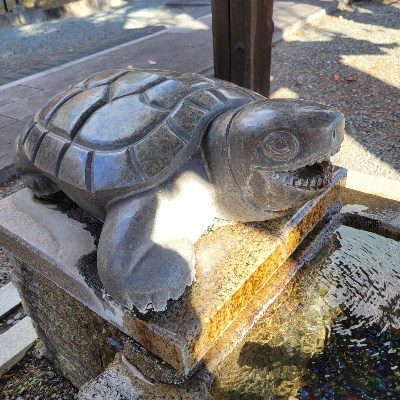 f:id:atoriatoriatori:20251231122128j:image