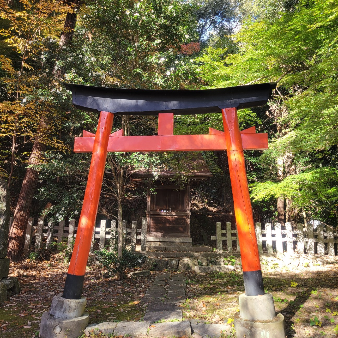 f:id:atoriatoriatori:20251231123038j:image