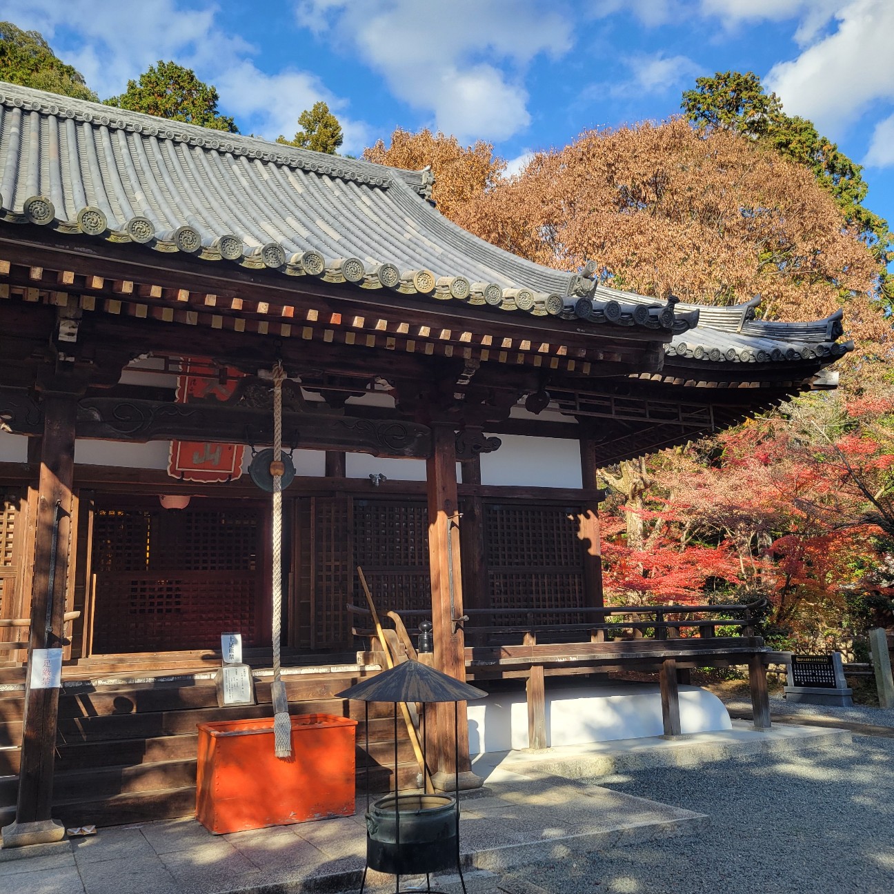 f:id:atoriatoriatori:20251231123349j:image