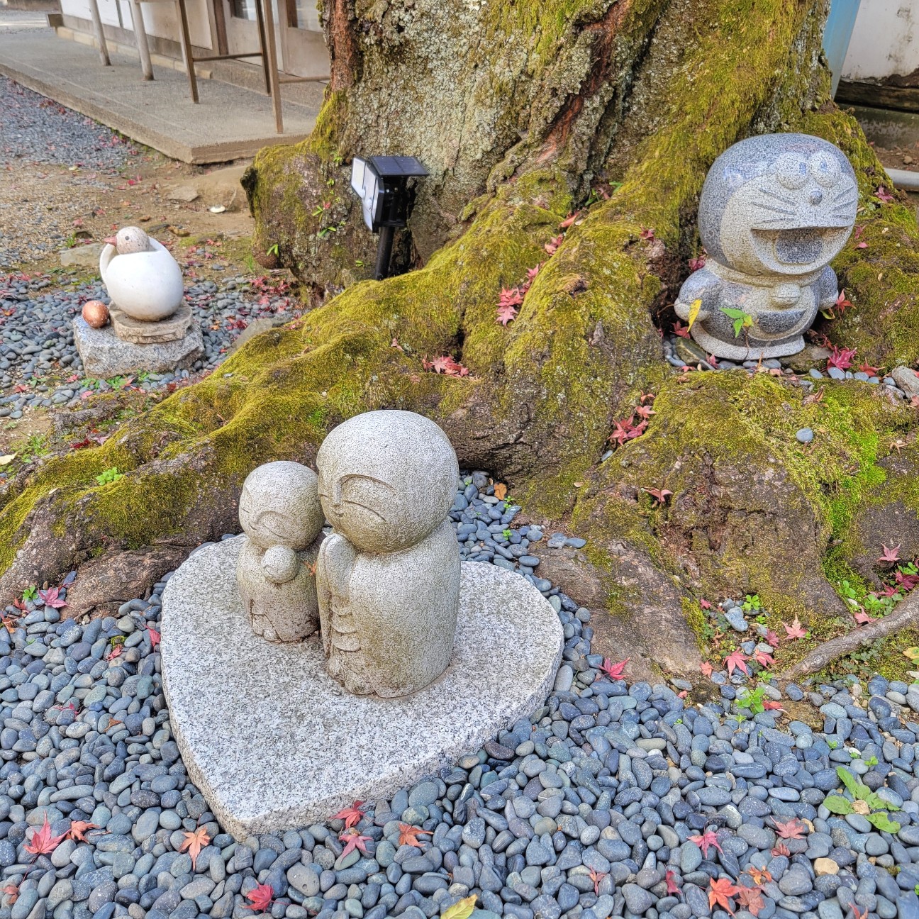 f:id:atoriatoriatori:20251231131128j:image