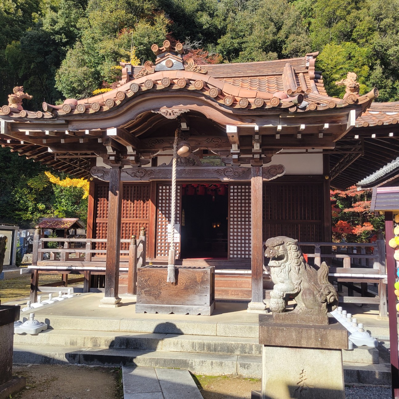 f:id:atoriatoriatori:20251231131208j:image