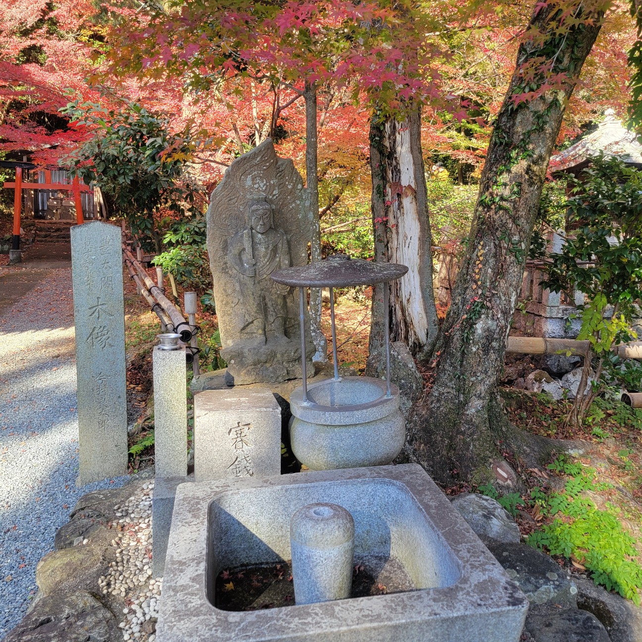f:id:atoriatoriatori:20251231143956j:image