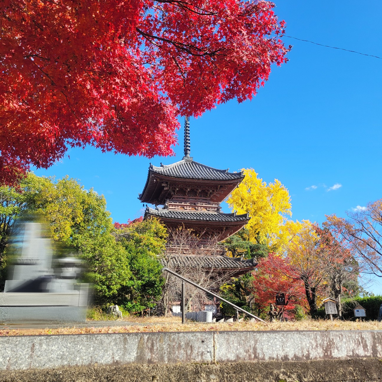 f:id:atoriatoriatori:20251231144217j:image
