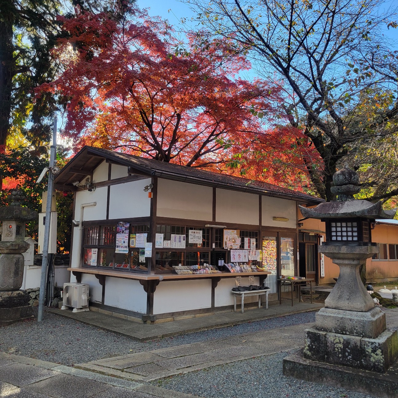 f:id:atoriatoriatori:20251231144240j:image