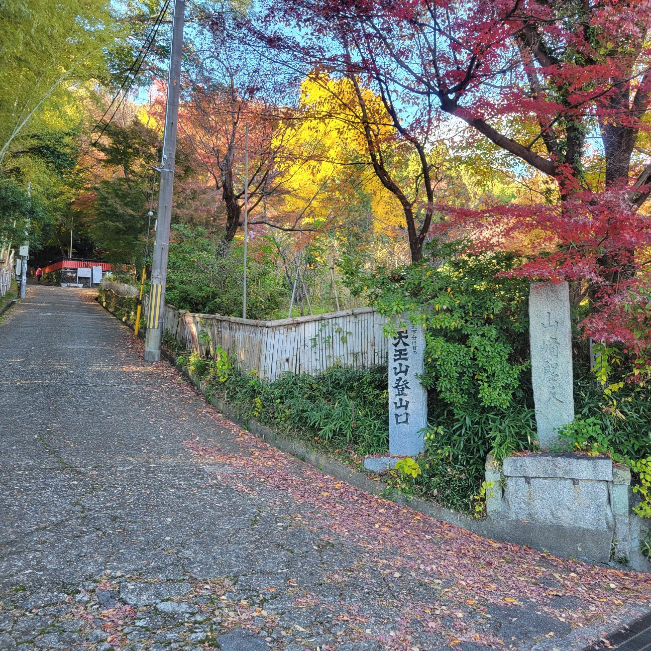 f:id:atoriatoriatori:20251231193621j:image