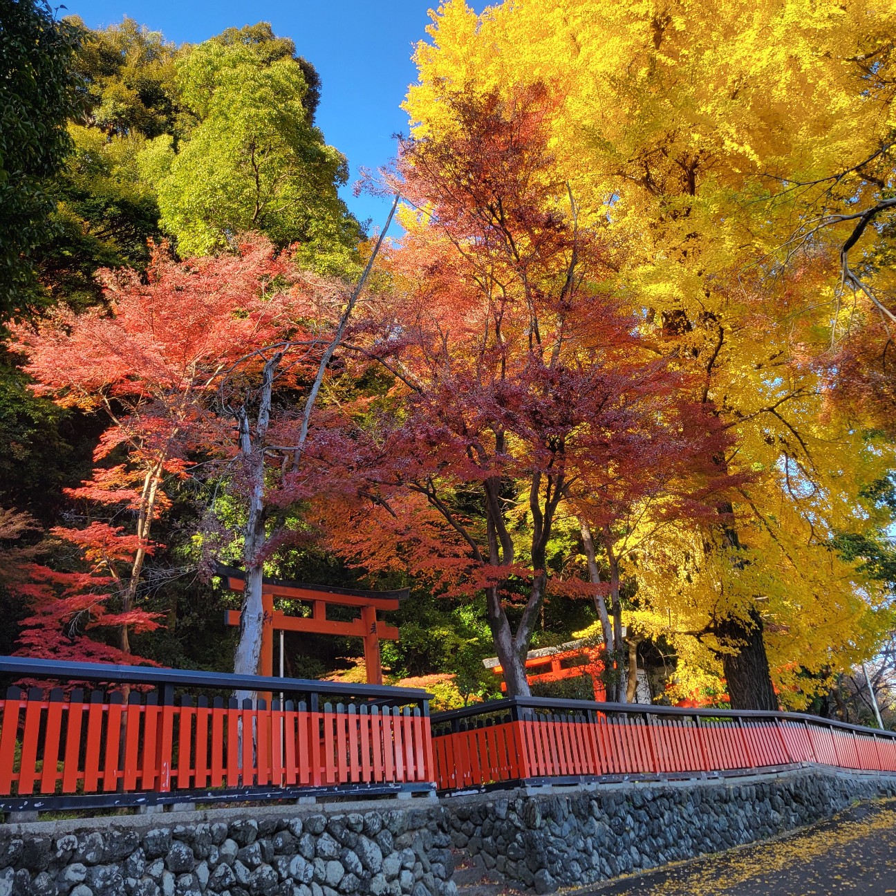 f:id:atoriatoriatori:20251231193629j:image
