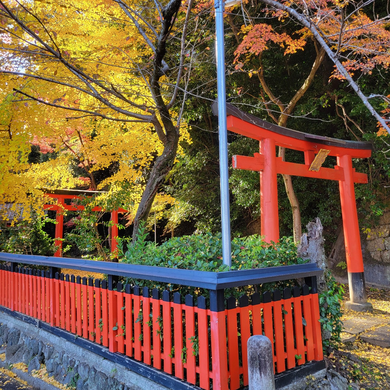 f:id:atoriatoriatori:20251231205739j:image