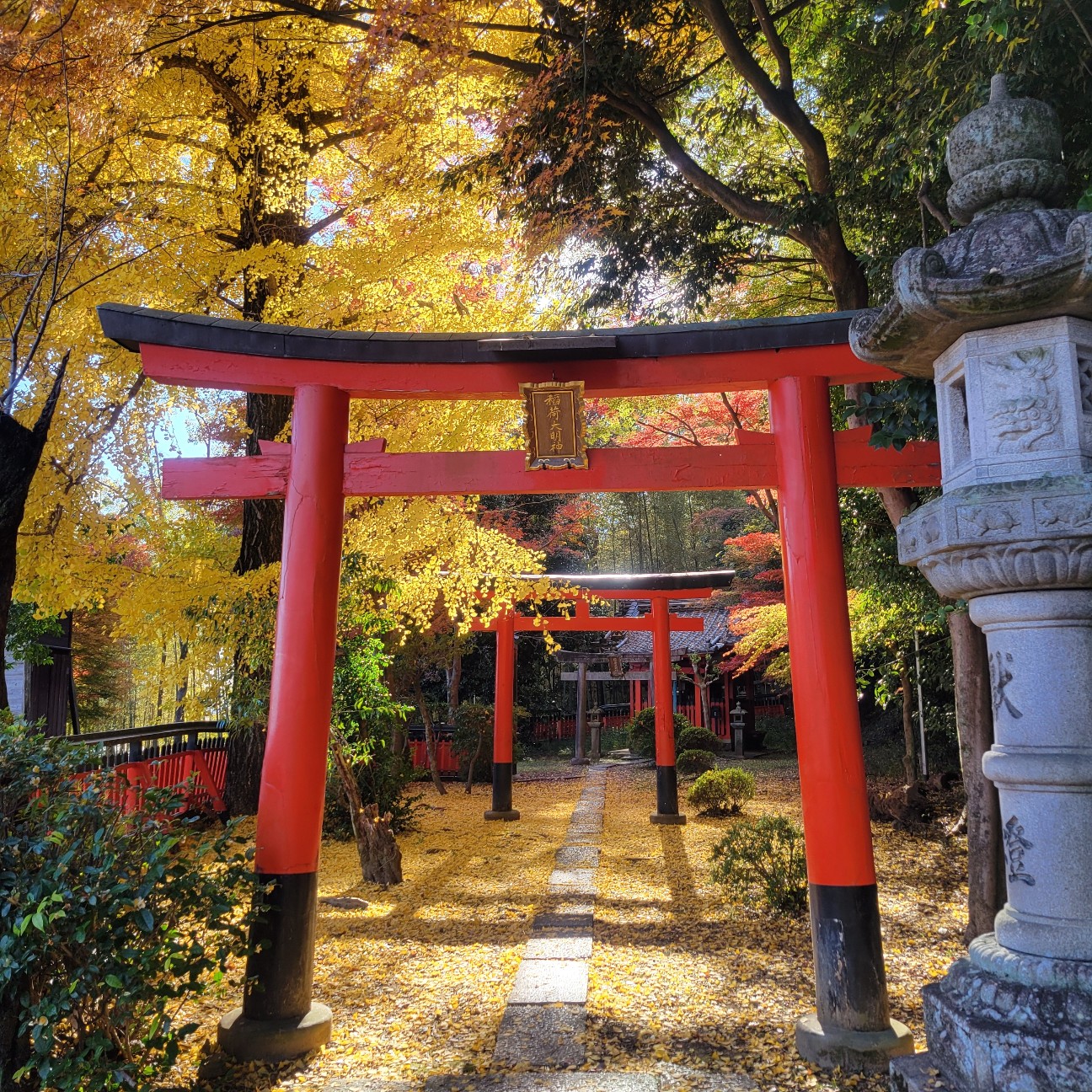 f:id:atoriatoriatori:20251231205747j:image
