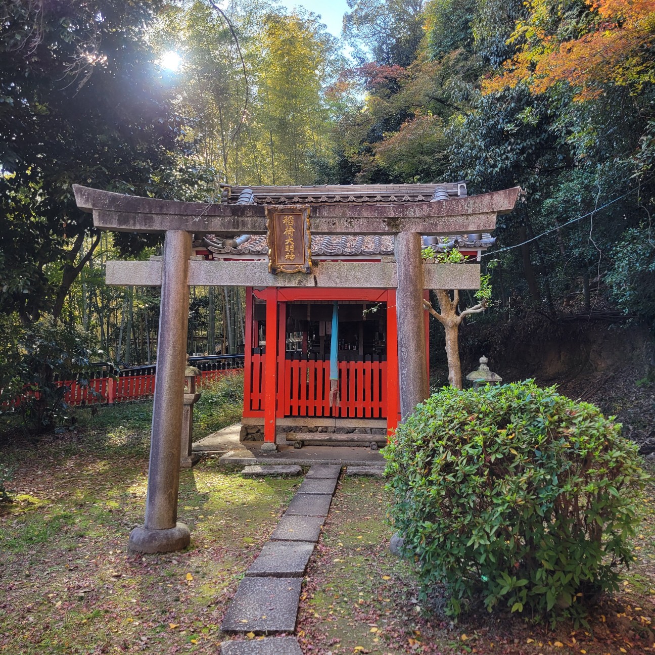 f:id:atoriatoriatori:20251231205754j:image