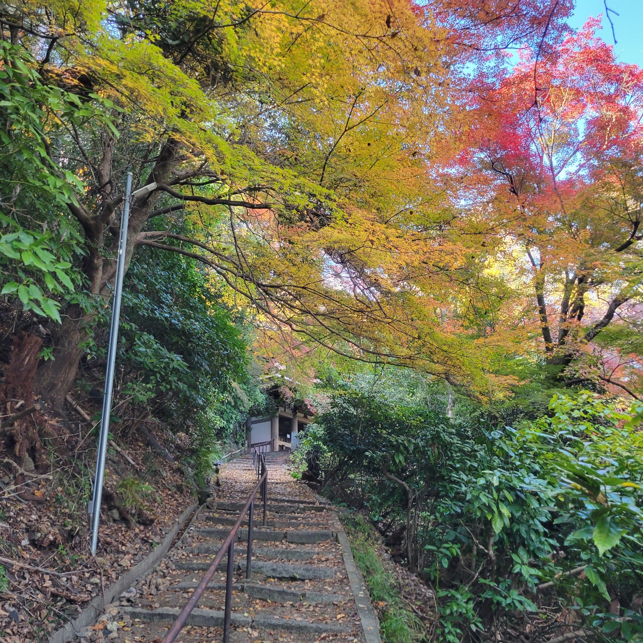 f:id:atoriatoriatori:20260101102051j:image