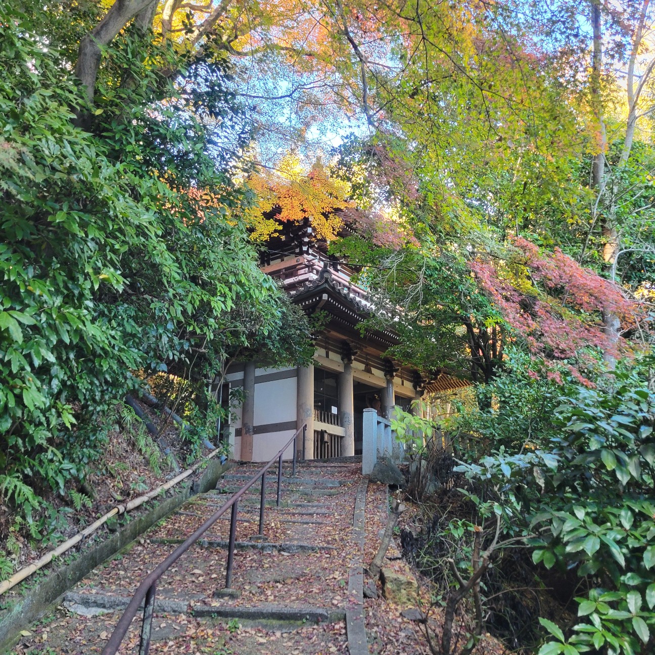 f:id:atoriatoriatori:20260101105439j:image