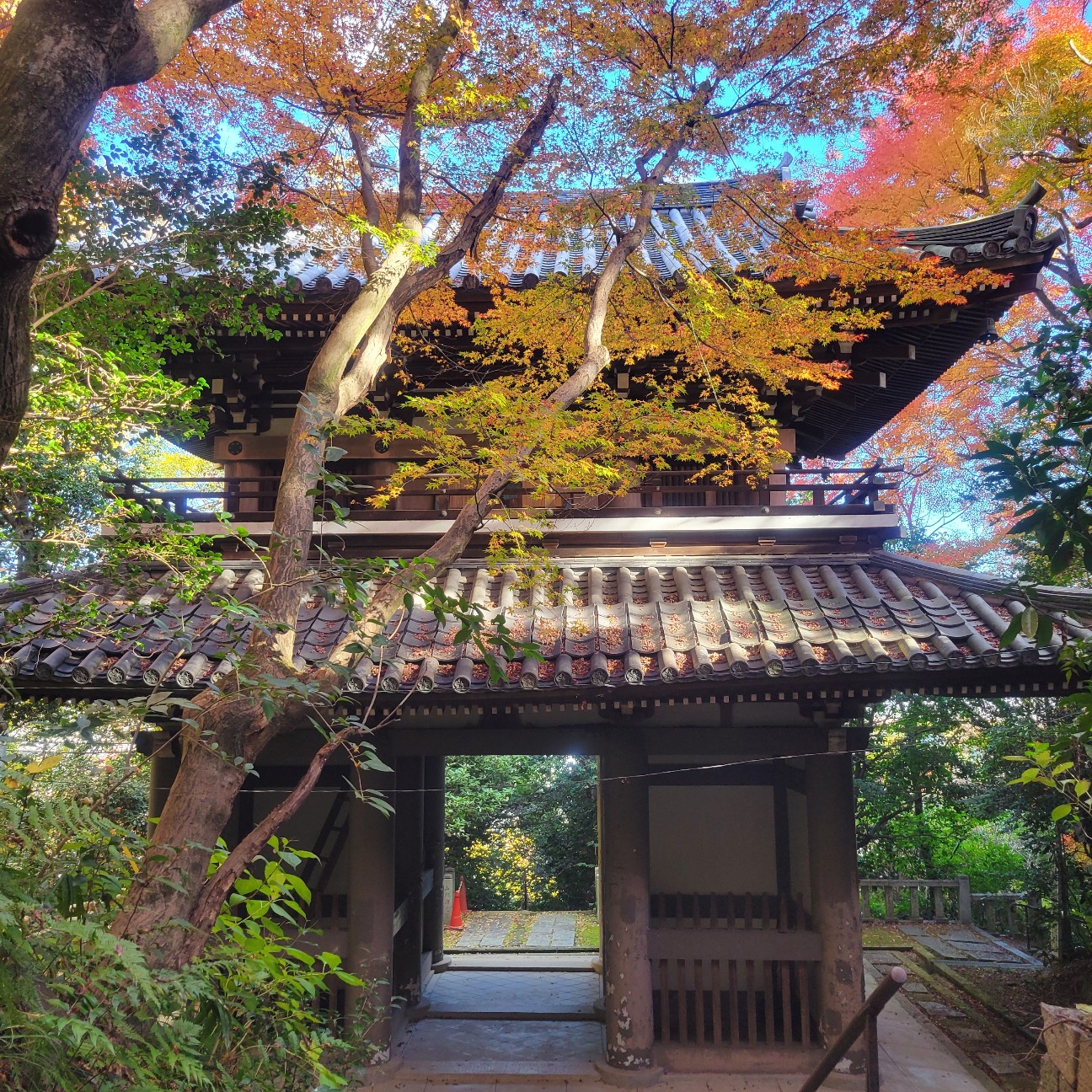 f:id:atoriatoriatori:20260101110228j:image