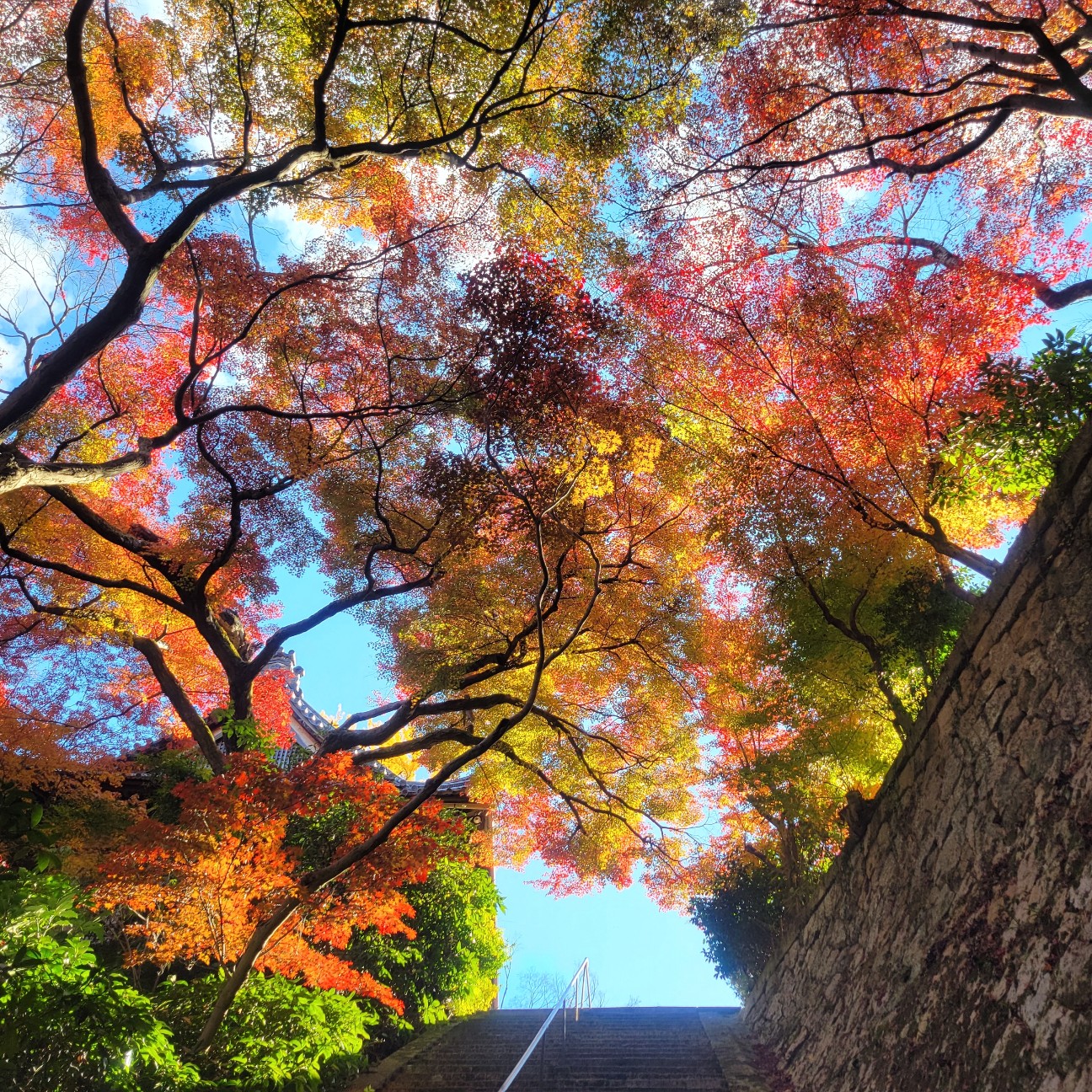 f:id:atoriatoriatori:20260101110248j:image
