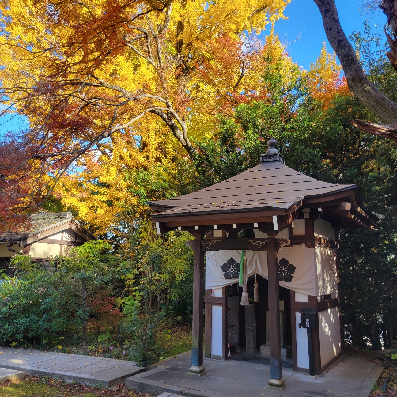 f:id:atoriatoriatori:20260101110606j:image