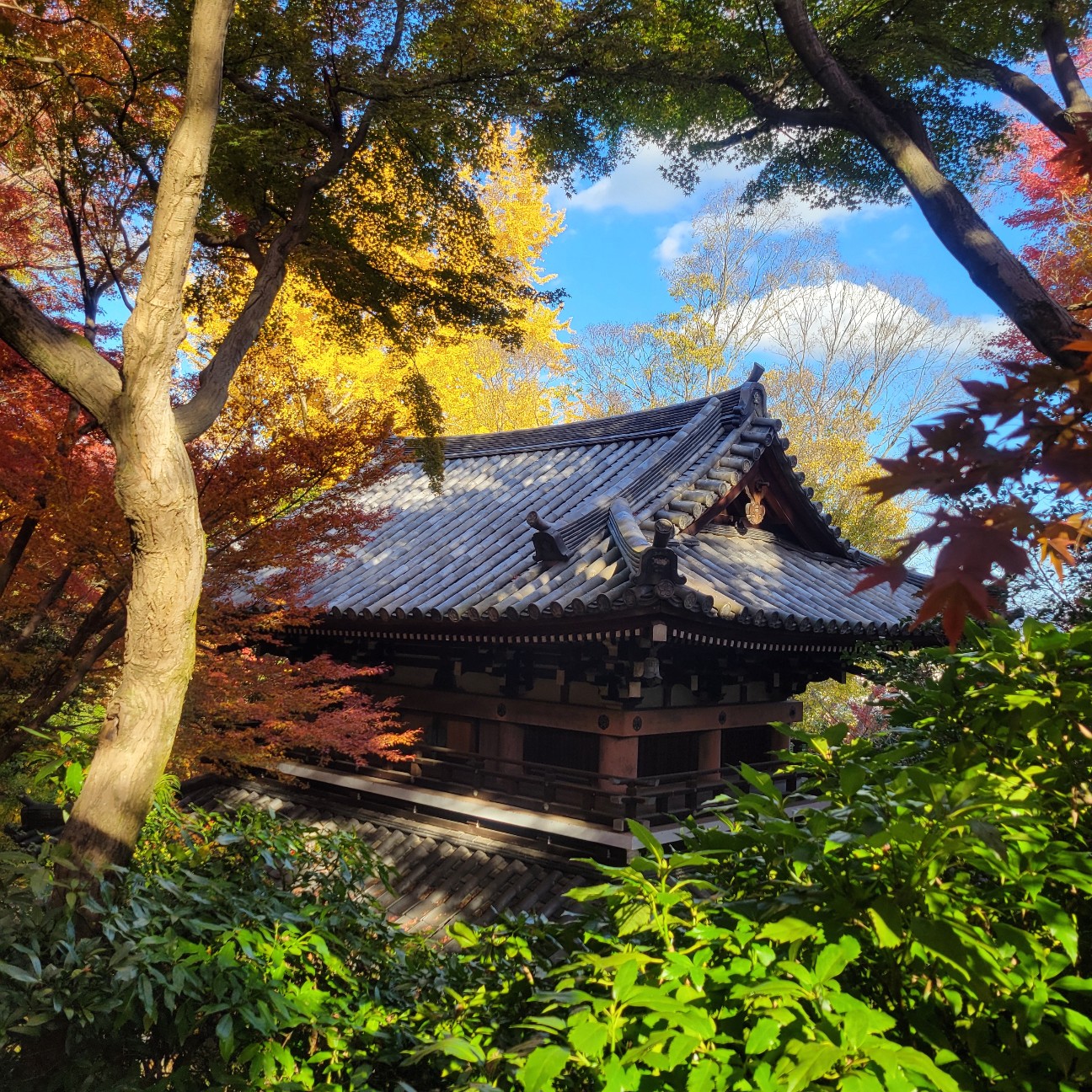 f:id:atoriatoriatori:20260101110617j:image