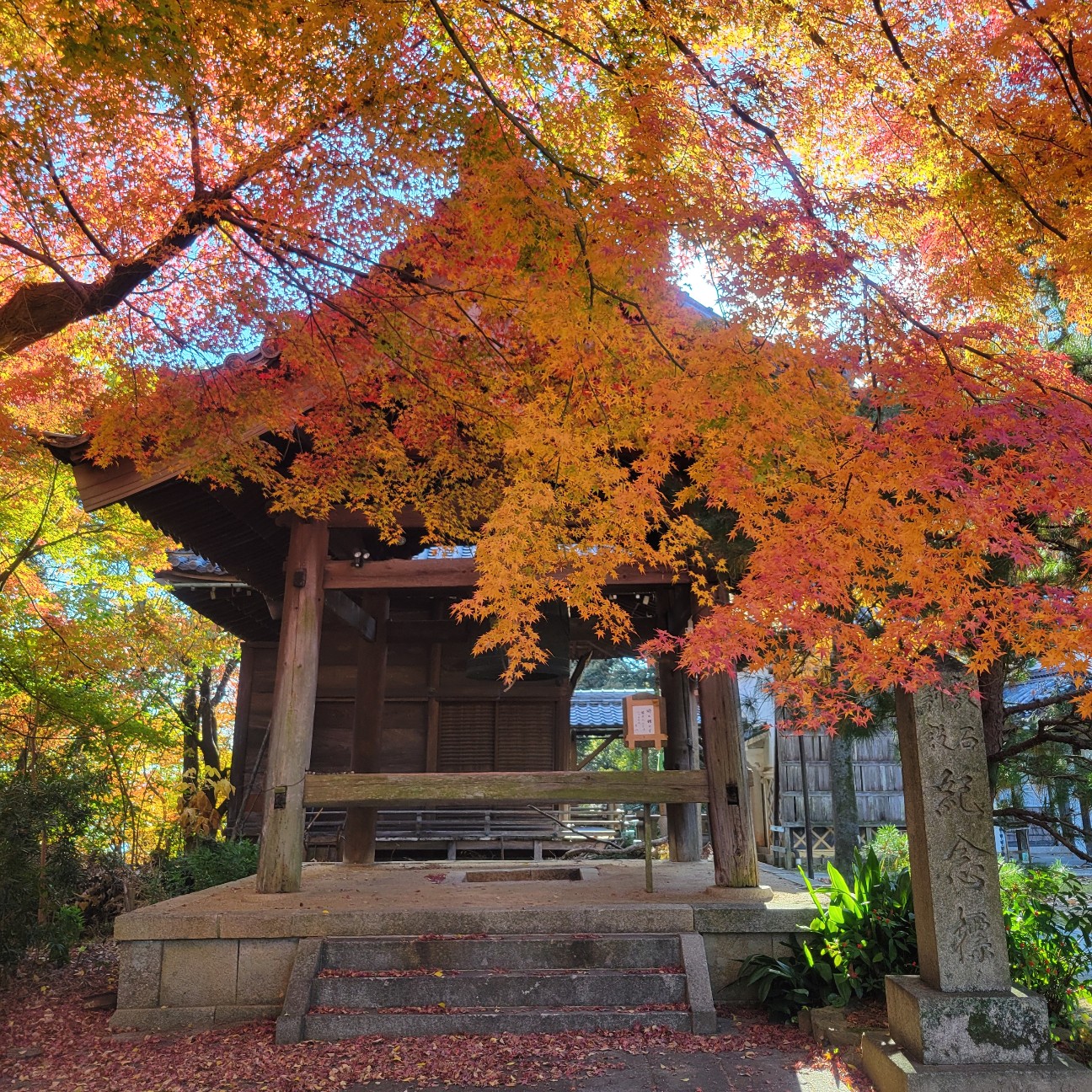 f:id:atoriatoriatori:20260101124416j:image