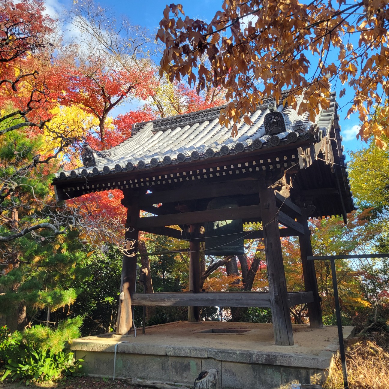 f:id:atoriatoriatori:20260101124424j:image