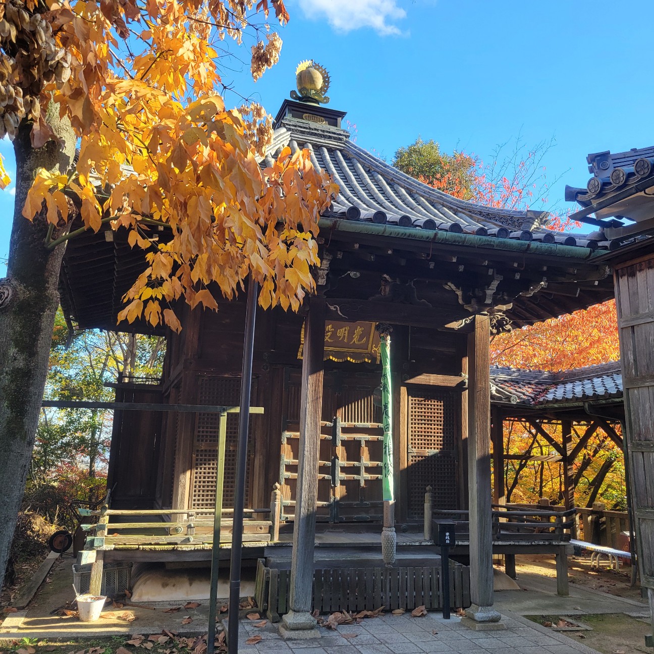 f:id:atoriatoriatori:20260101130458j:image