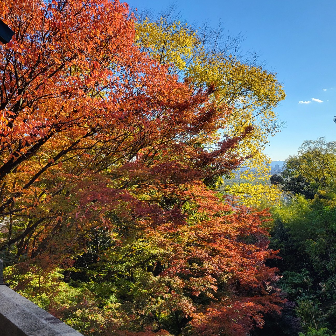 f:id:atoriatoriatori:20260101133139j:image