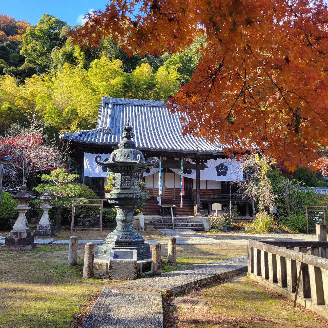 f:id:atoriatoriatori:20260101133545j:image