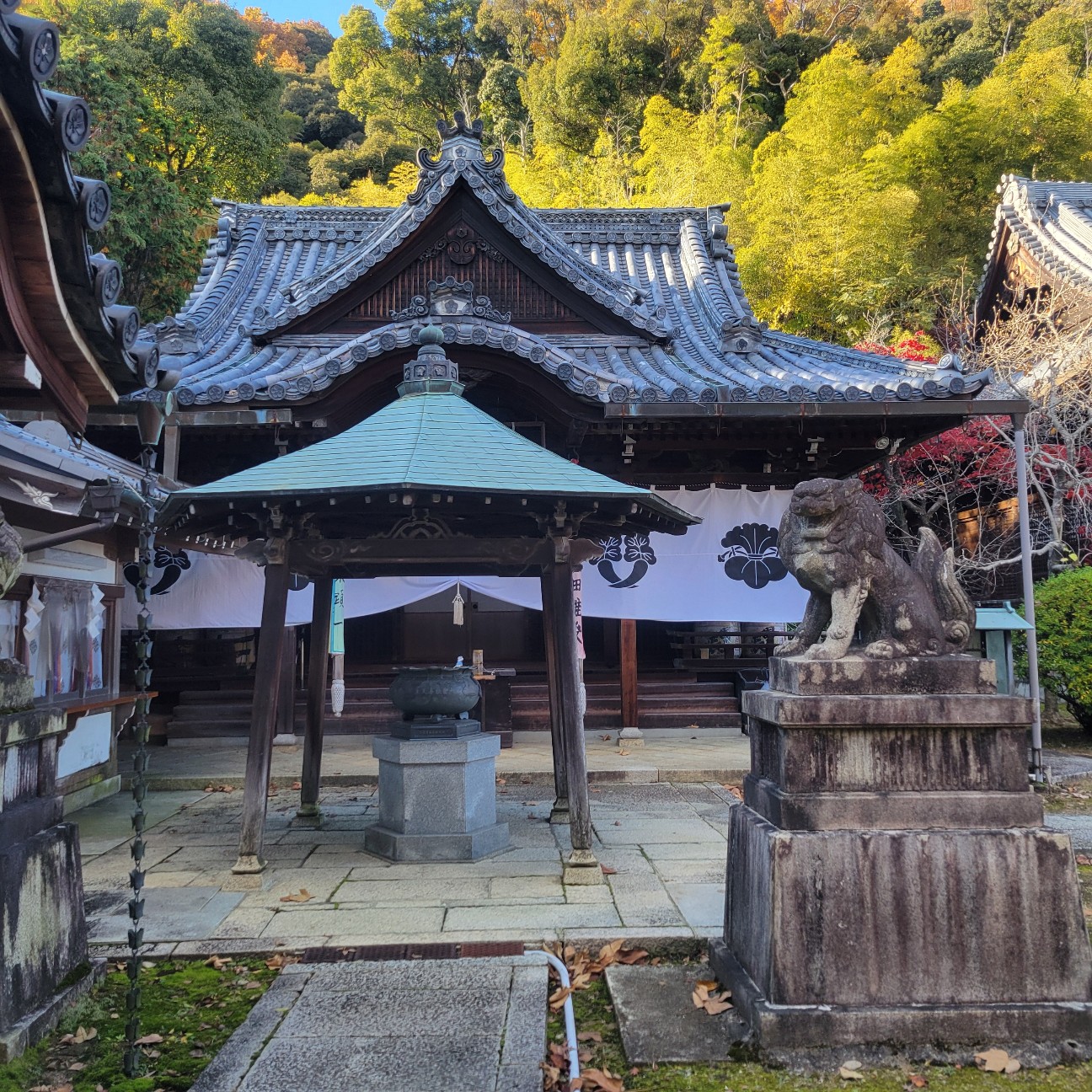 f:id:atoriatoriatori:20260101133554j:image