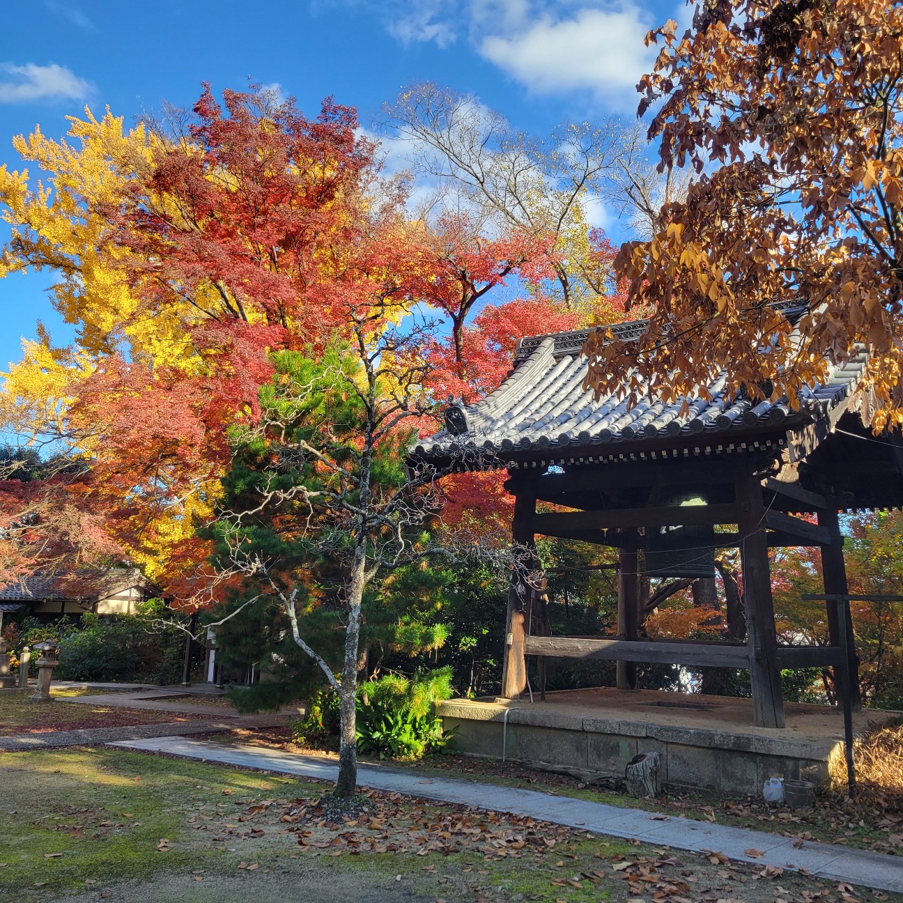 f:id:atoriatoriatori:20260101145230j:image