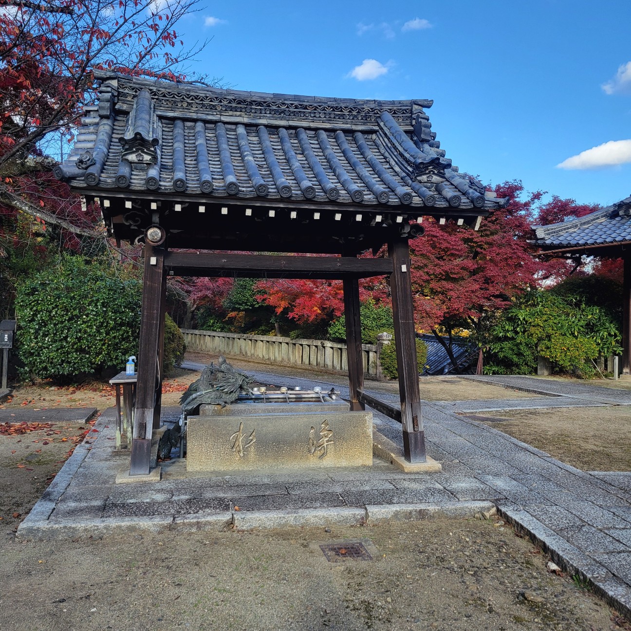 f:id:atoriatoriatori:20260101145706j:image