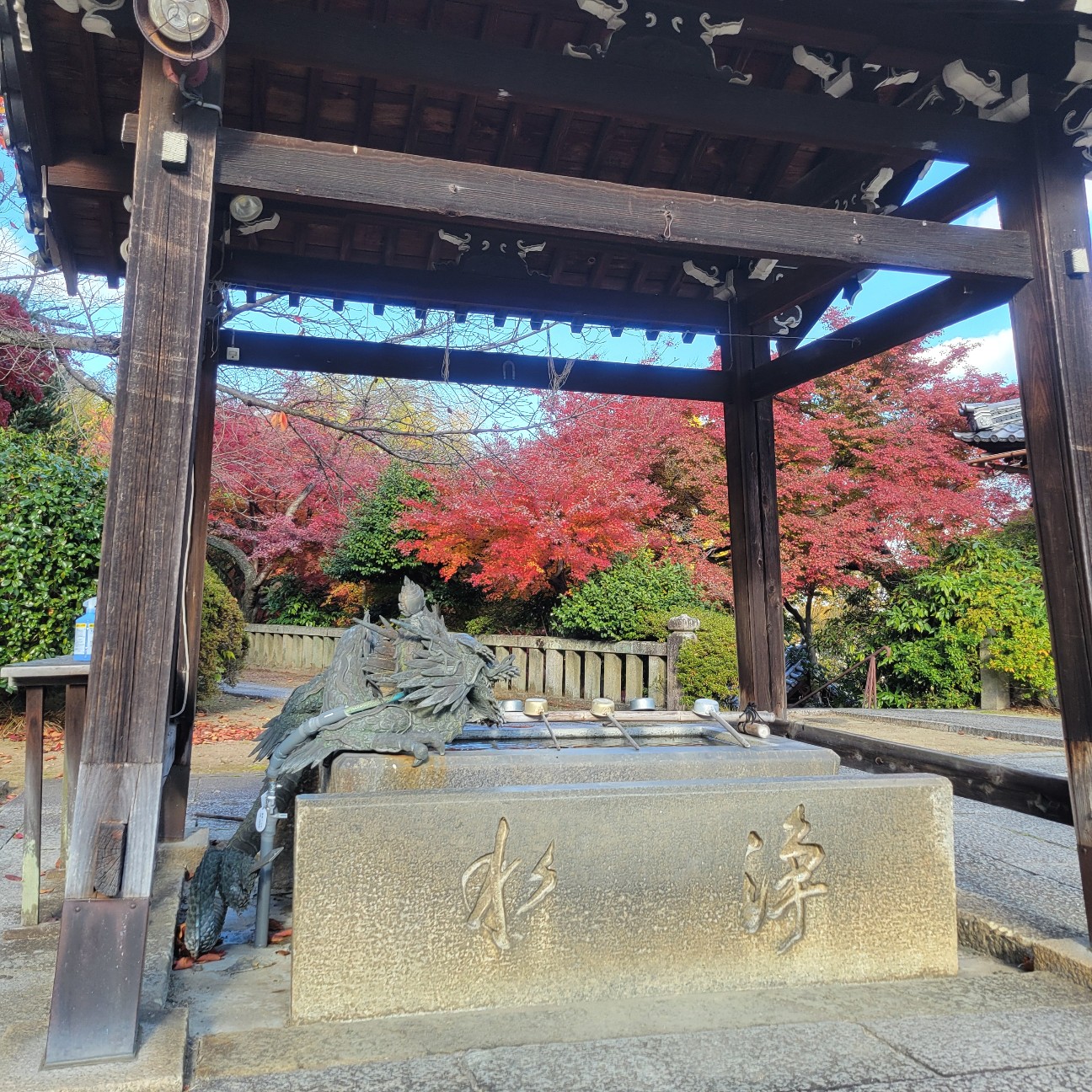 f:id:atoriatoriatori:20260101145713j:image