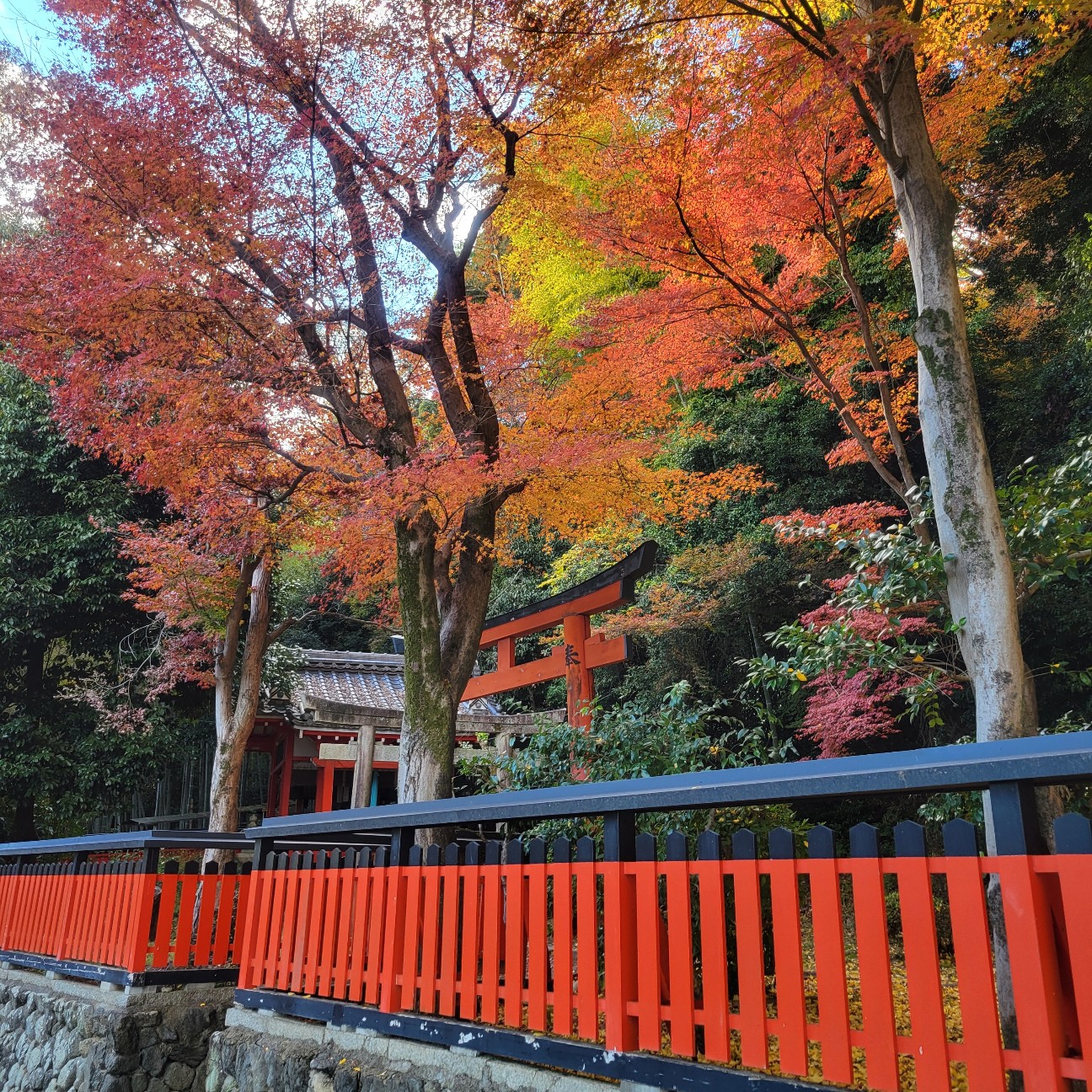 f:id:atoriatoriatori:20260101150519j:image