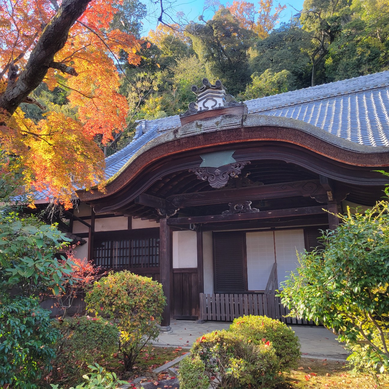 f:id:atoriatoriatori:20260101150536j:image