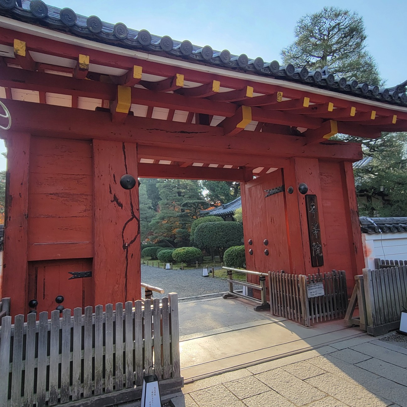 f:id:atoriatoriatori:20260101195733j:image
