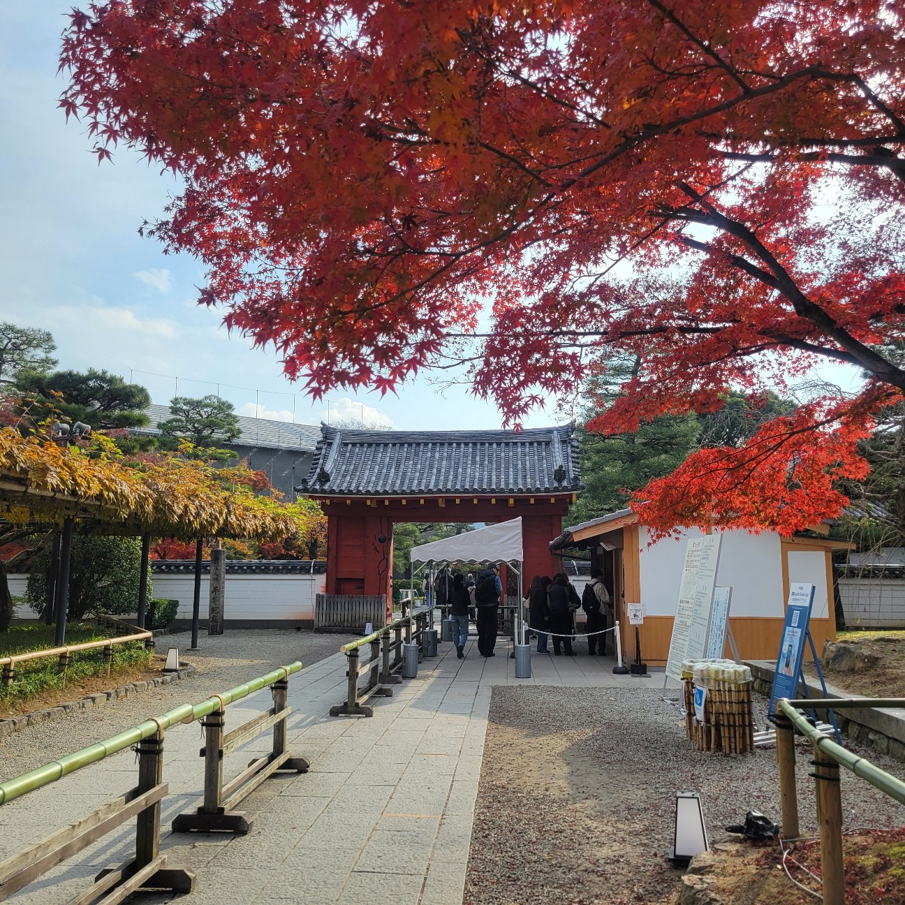 f:id:atoriatoriatori:20260101211707j:image