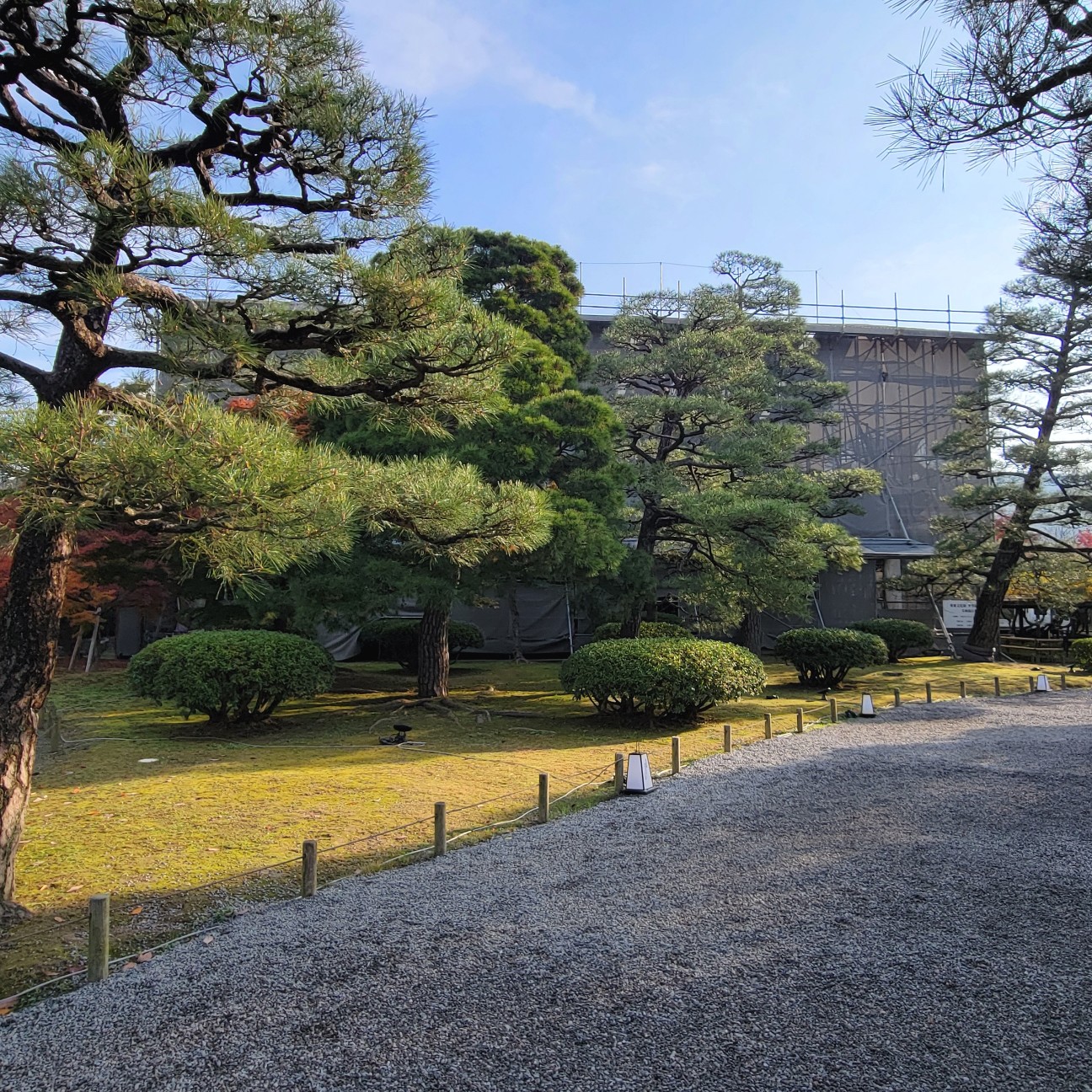 f:id:atoriatoriatori:20260101212014j:image