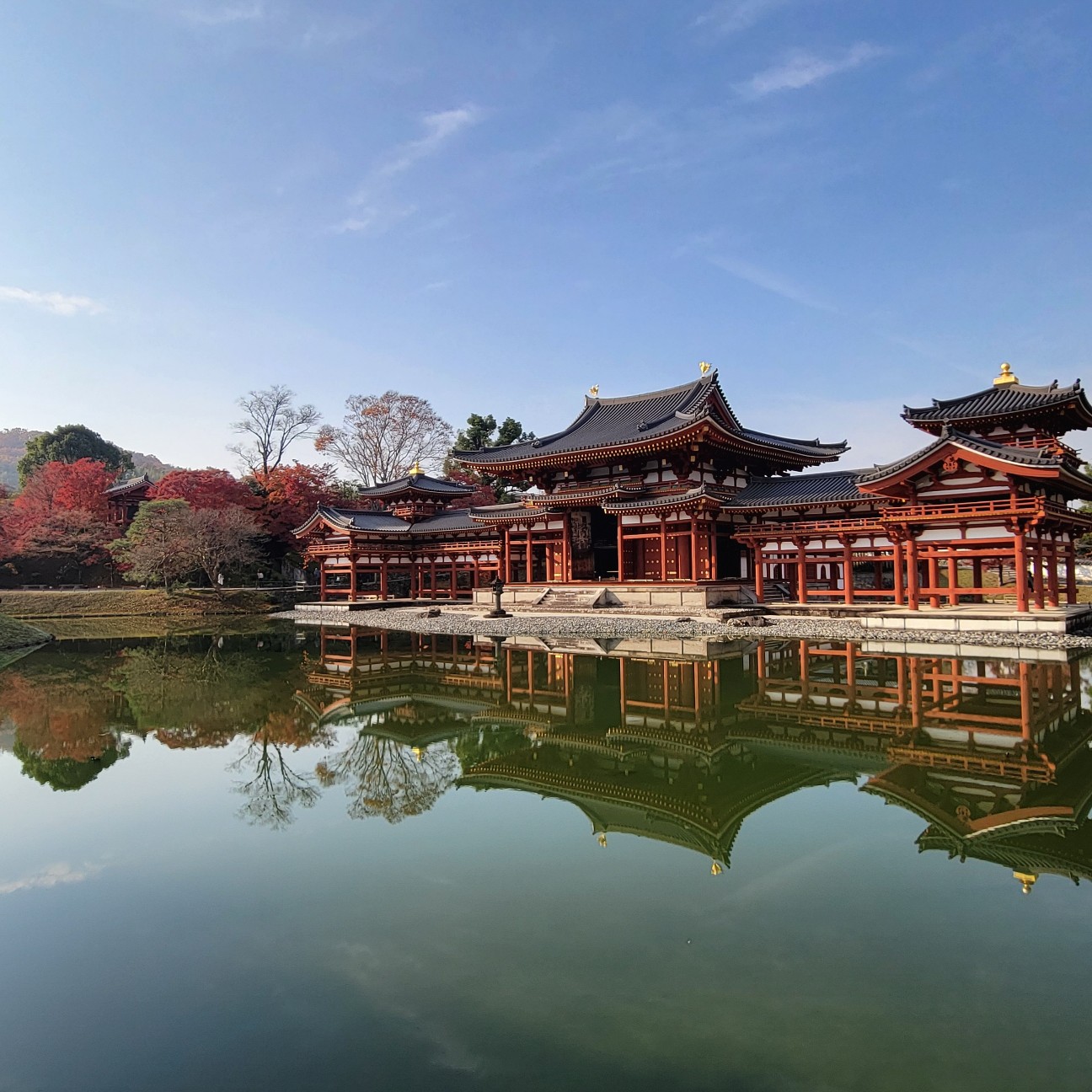 f:id:atoriatoriatori:20260103084852j:image