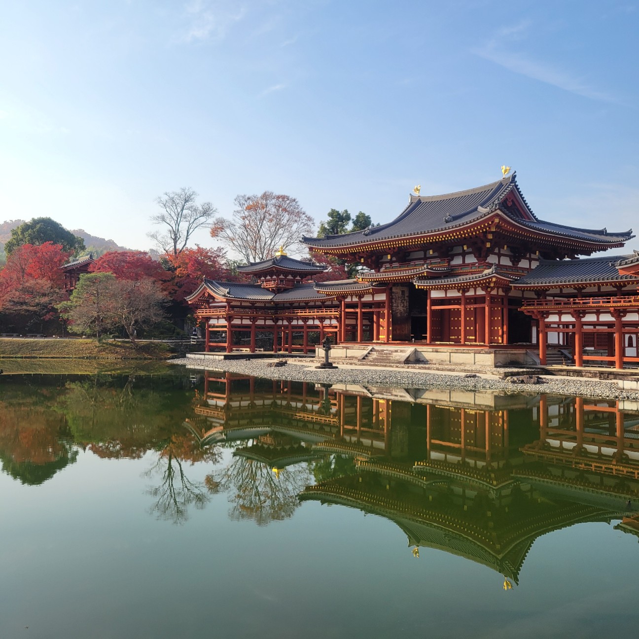 f:id:atoriatoriatori:20260103085227j:image
