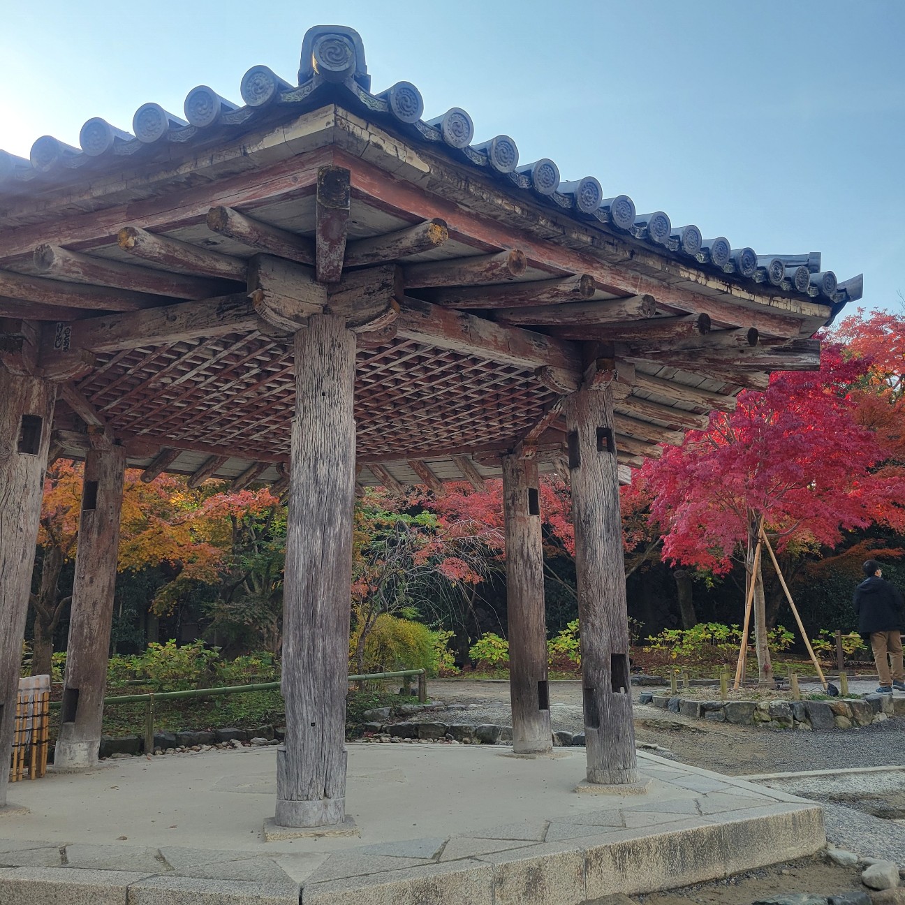 f:id:atoriatoriatori:20260103100641j:image