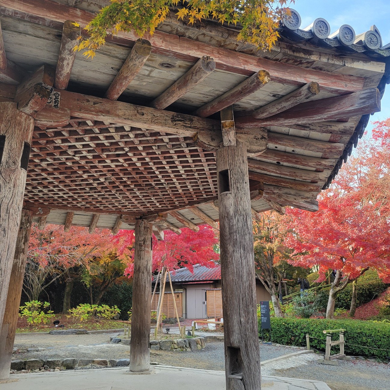 f:id:atoriatoriatori:20260103100700j:image
