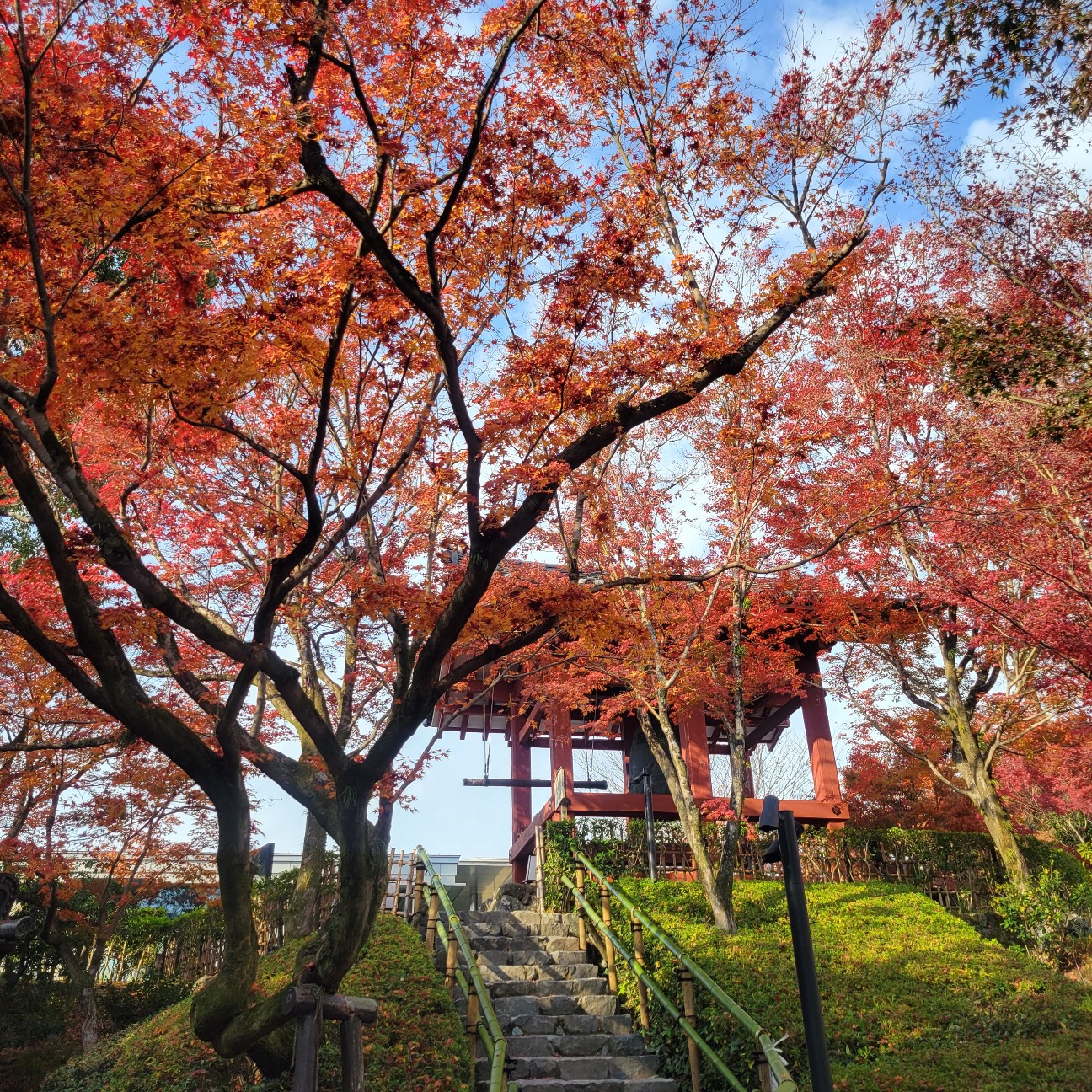 f:id:atoriatoriatori:20260103100800j:image