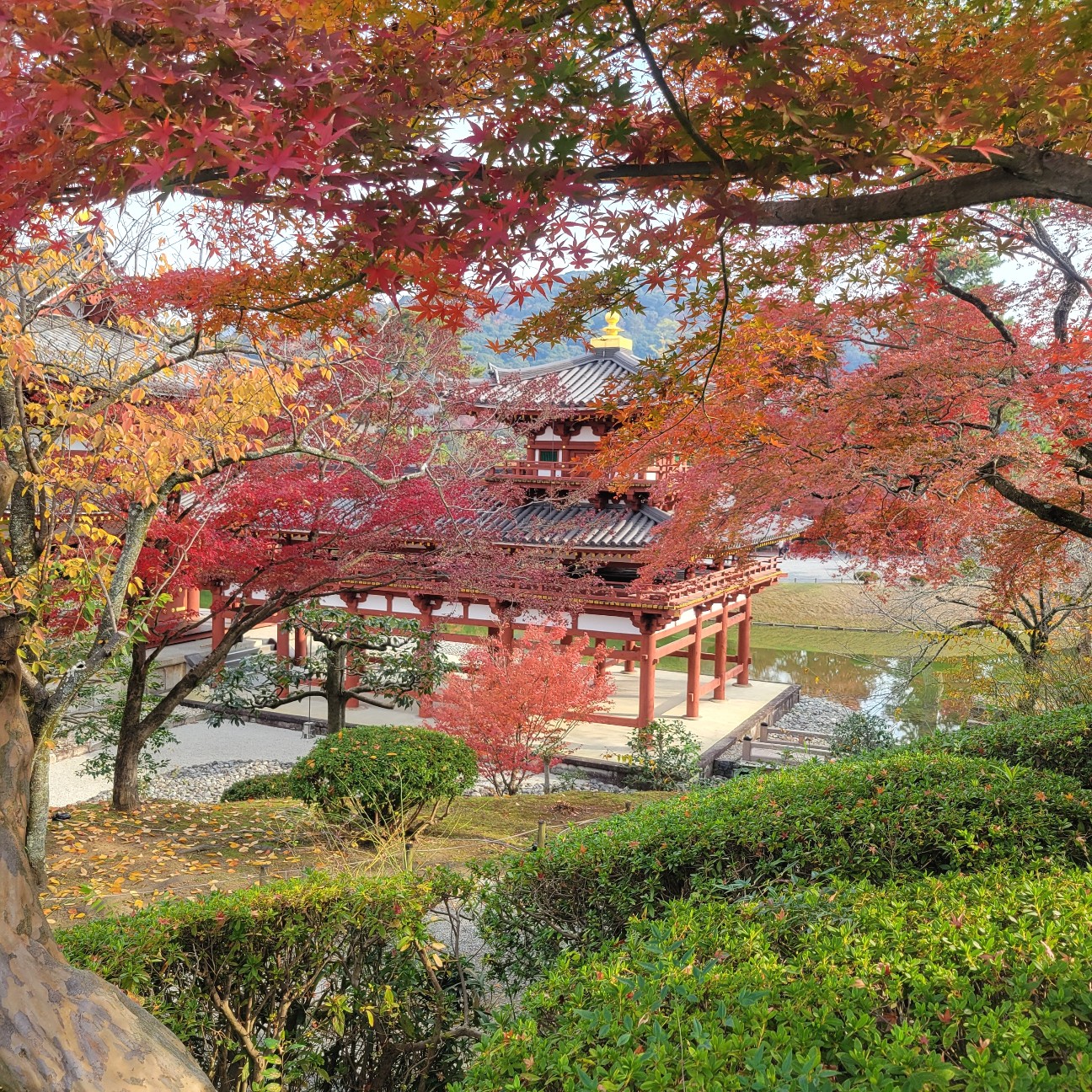 f:id:atoriatoriatori:20260103111442j:image