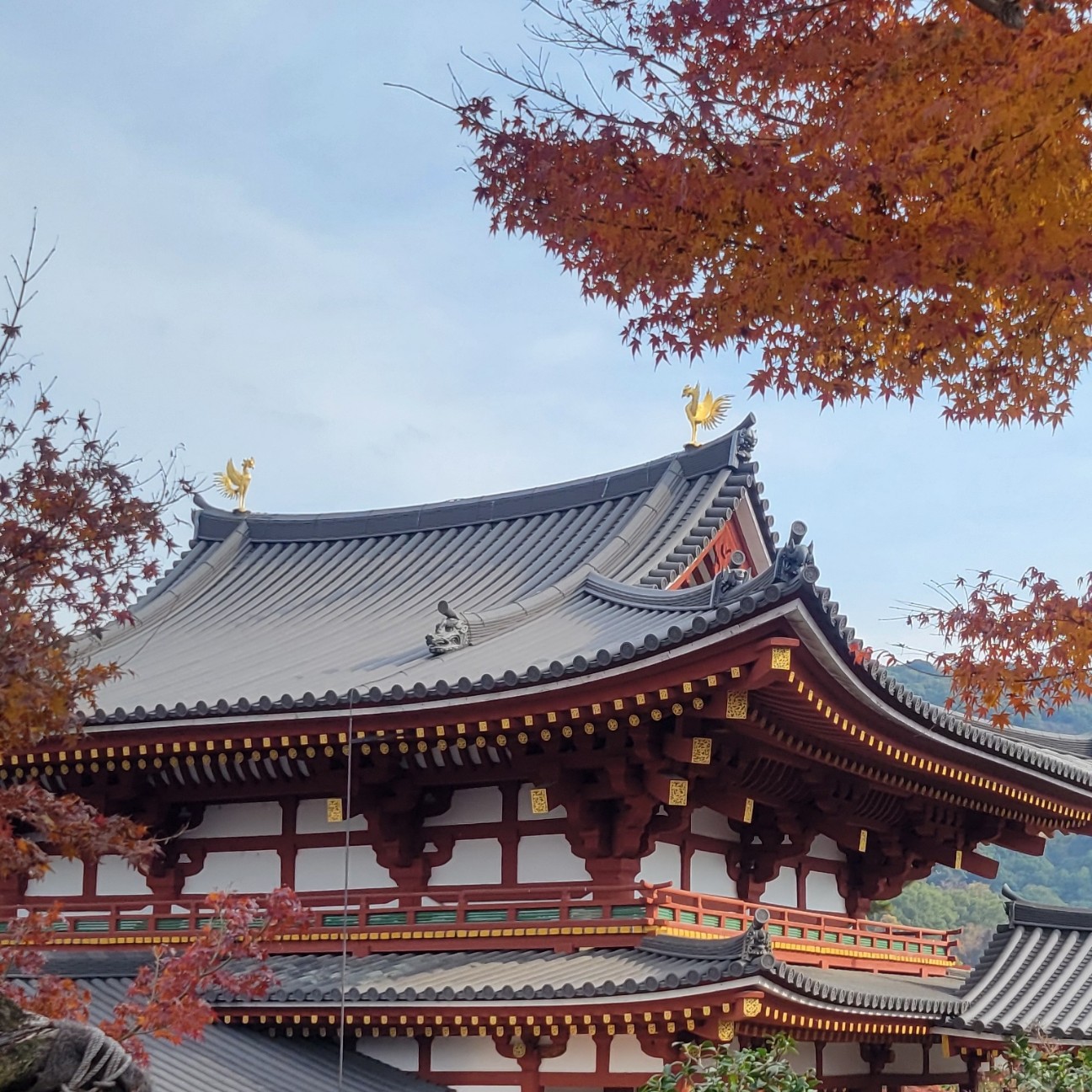f:id:atoriatoriatori:20260103111450j:image