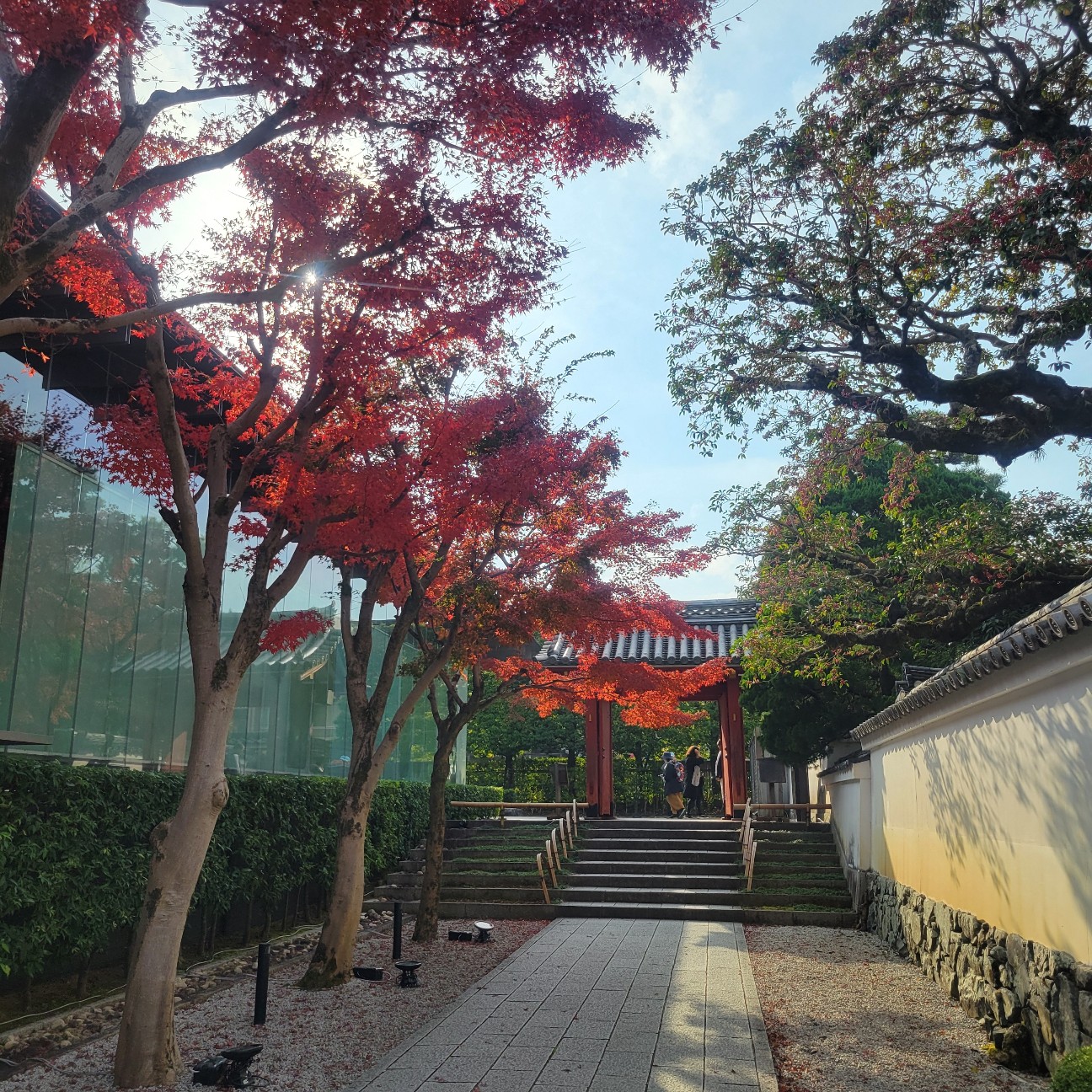 f:id:atoriatoriatori:20260103140225j:image