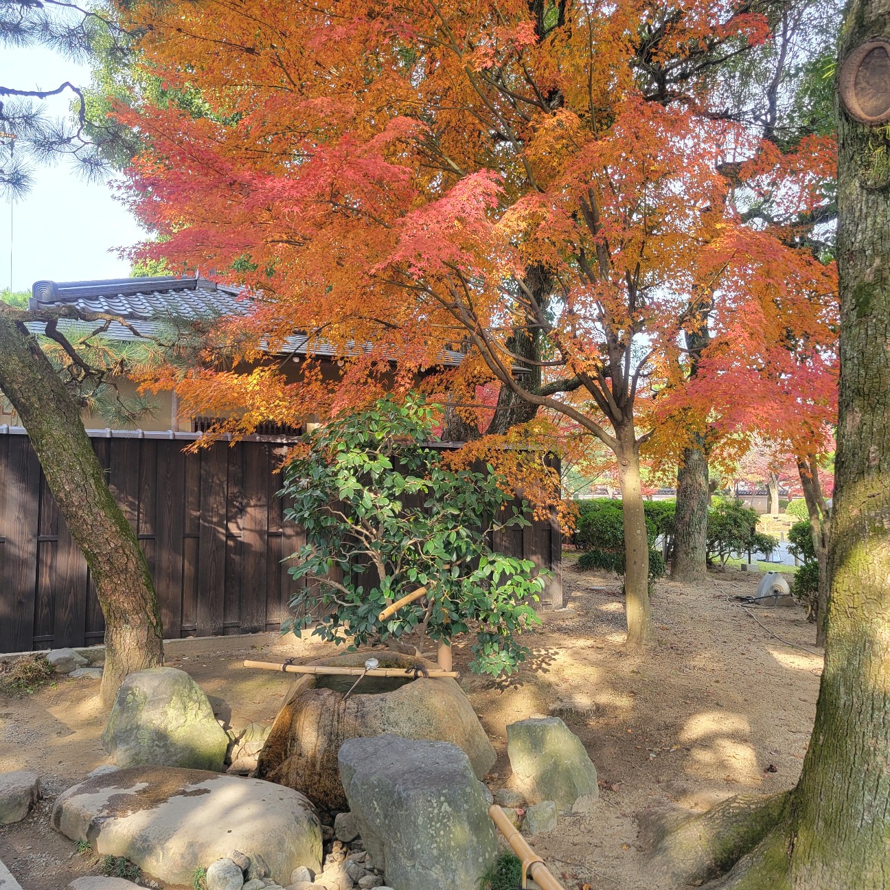 f:id:atoriatoriatori:20260103141004j:image