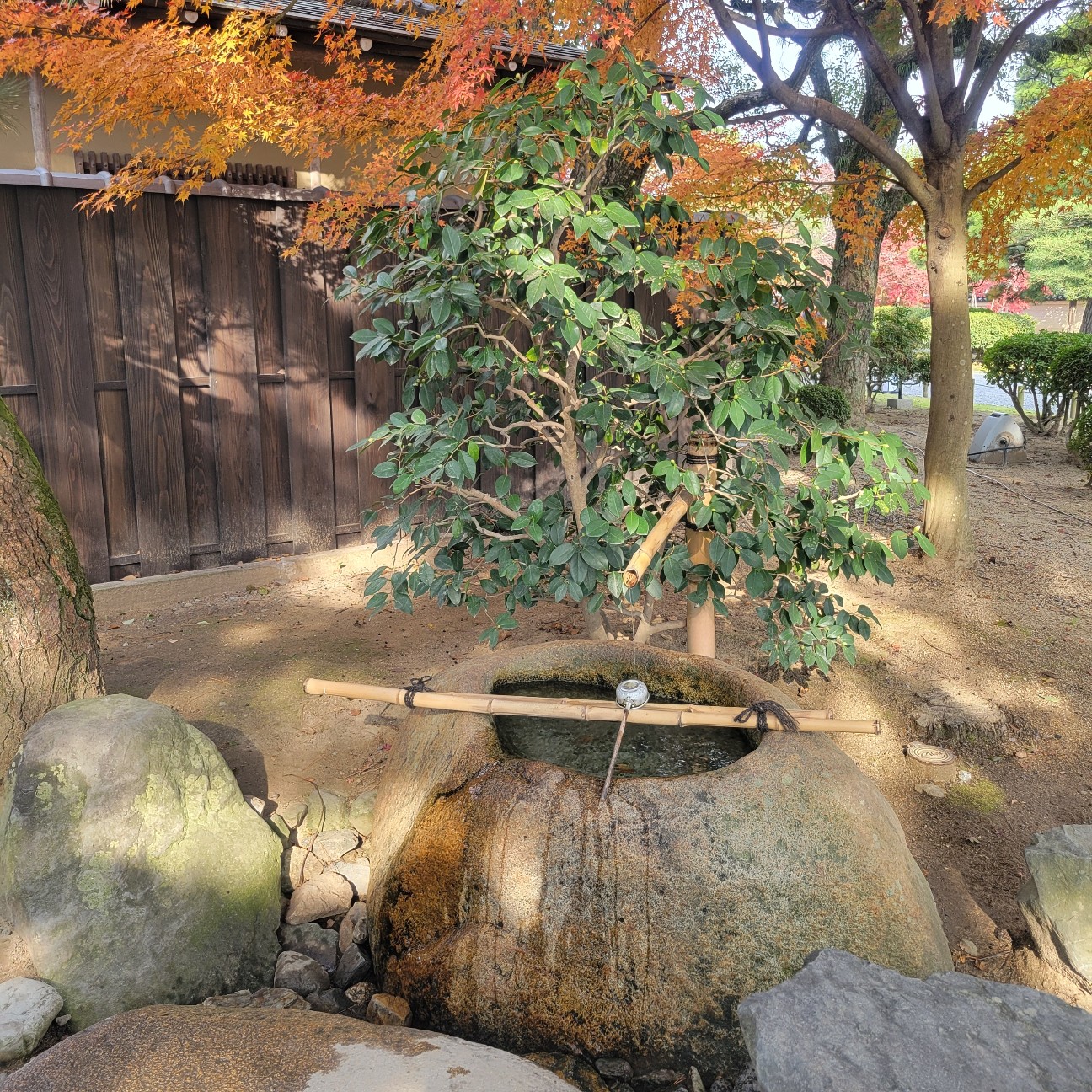 f:id:atoriatoriatori:20260103141012j:image