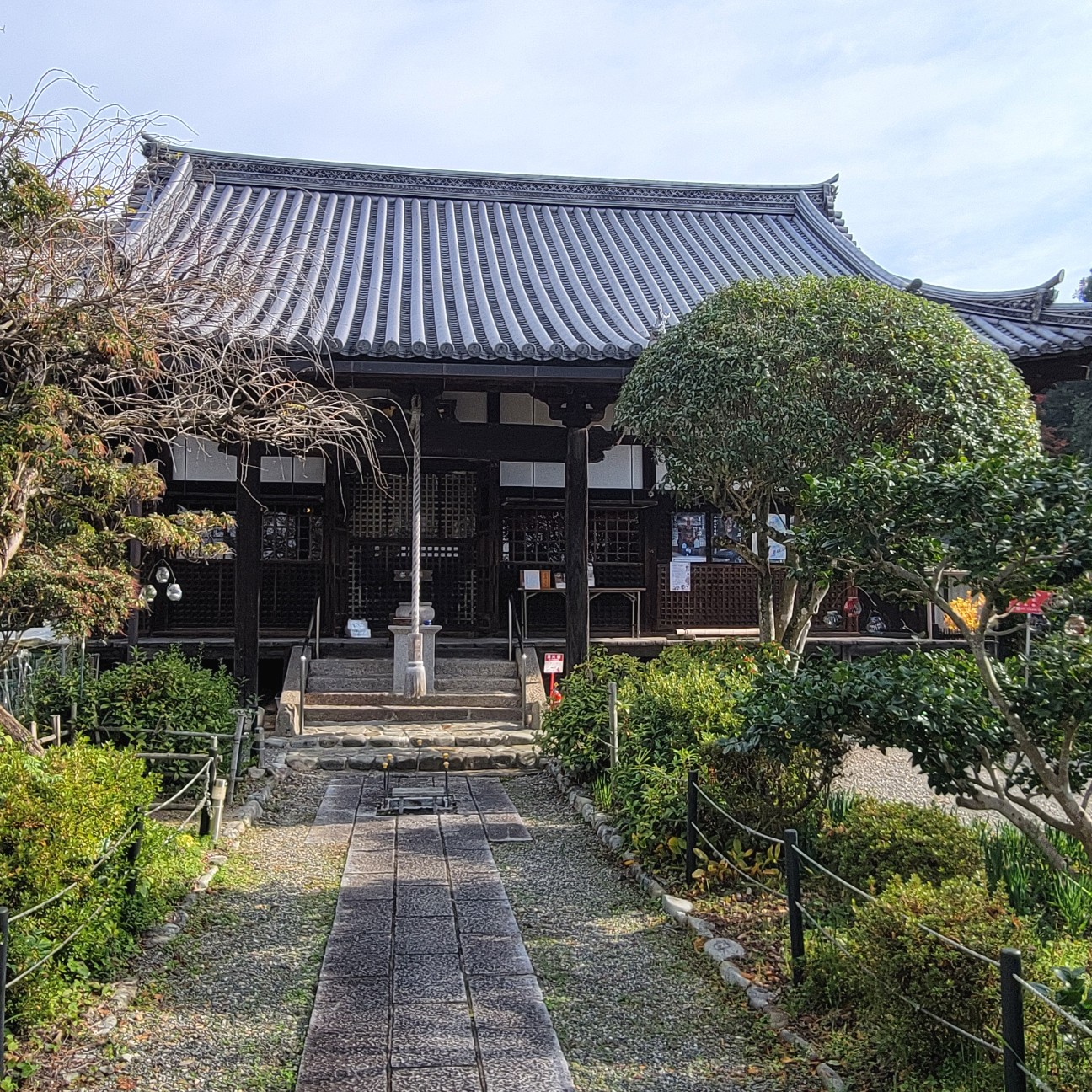 f:id:atoriatoriatori:20260104081121j:image