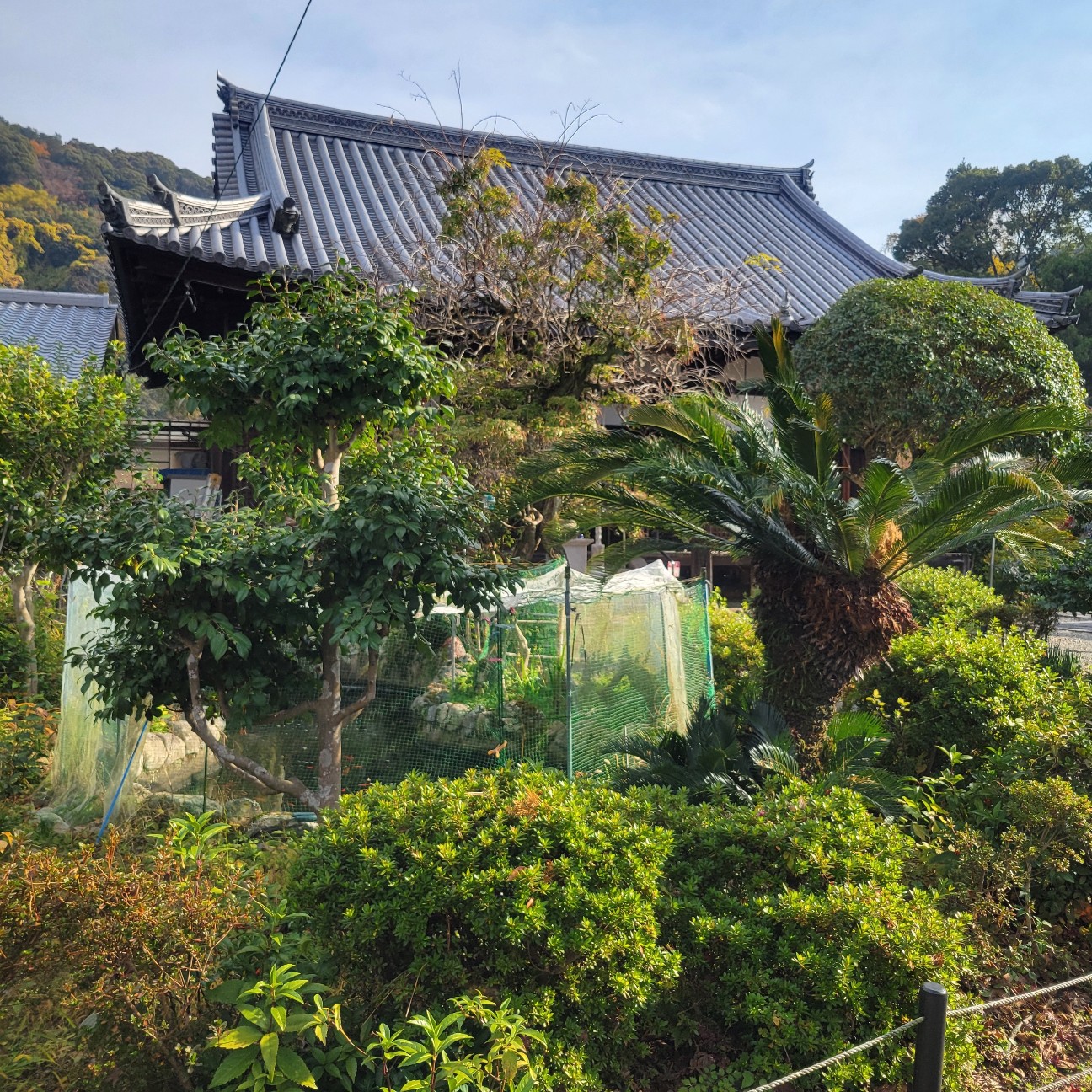 f:id:atoriatoriatori:20260104081939j:image