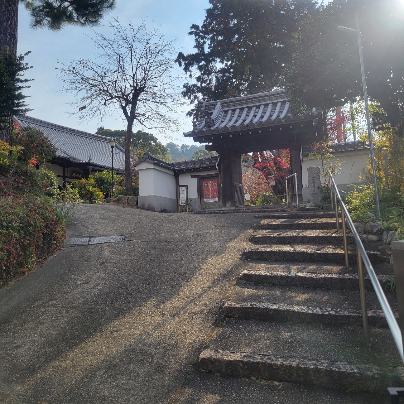 f:id:atoriatoriatori:20260104082104j:image