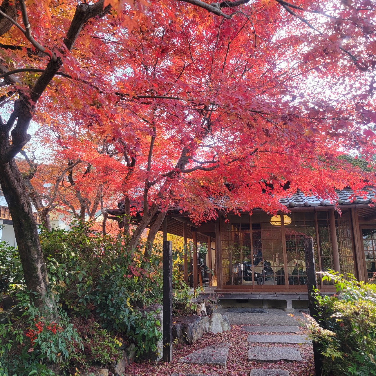 f:id:atoriatoriatori:20260104165632j:image