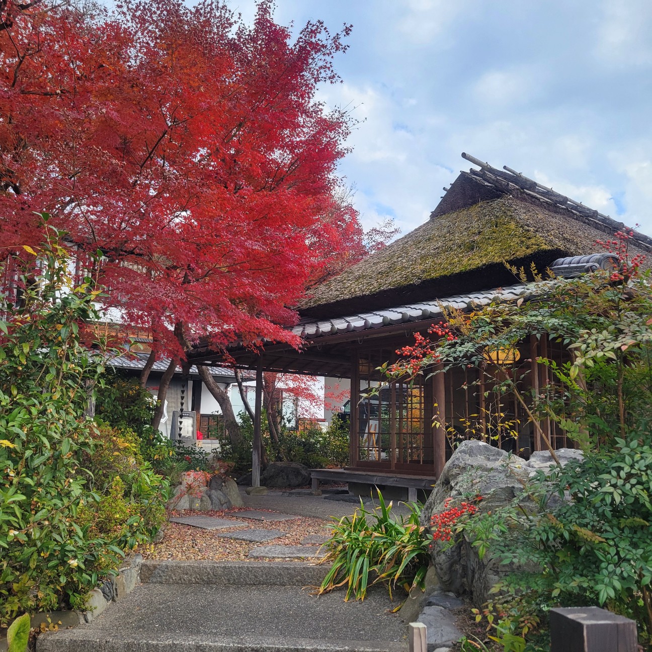 f:id:atoriatoriatori:20260104210130j:image
