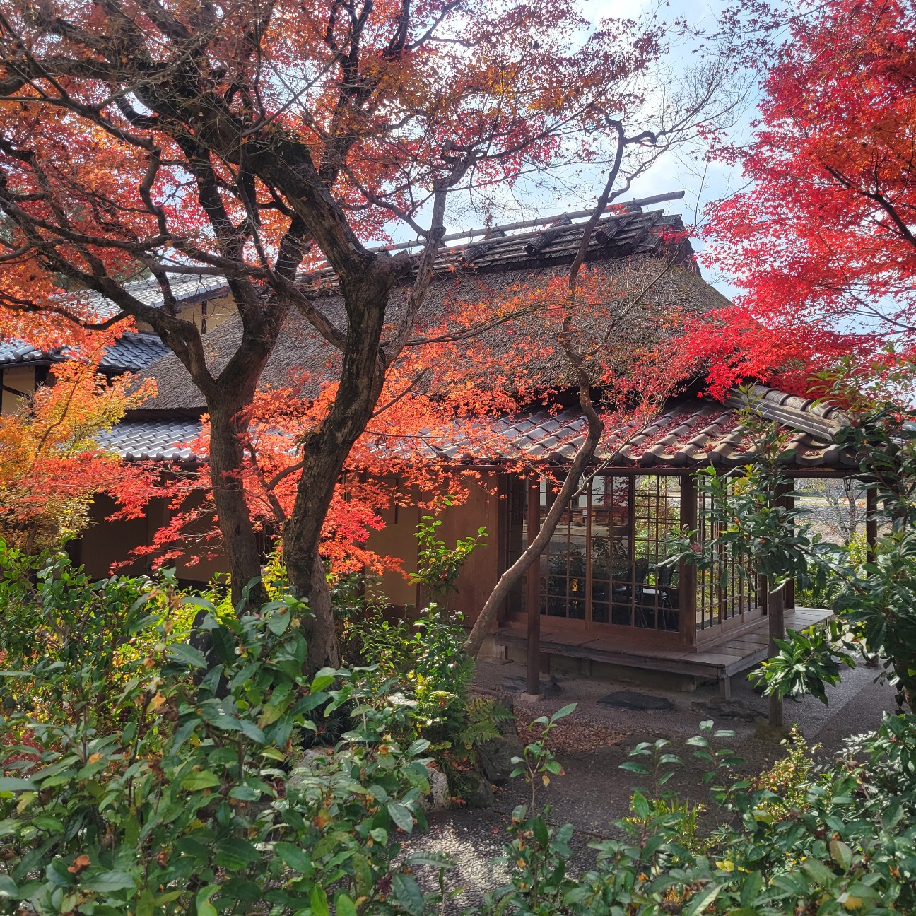 f:id:atoriatoriatori:20260105081626j:image